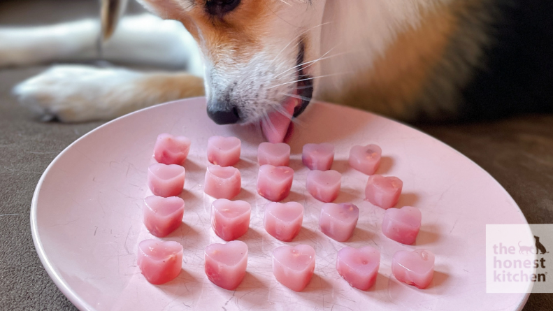 Image of Raspberry Gummies Recipe For Dogs 