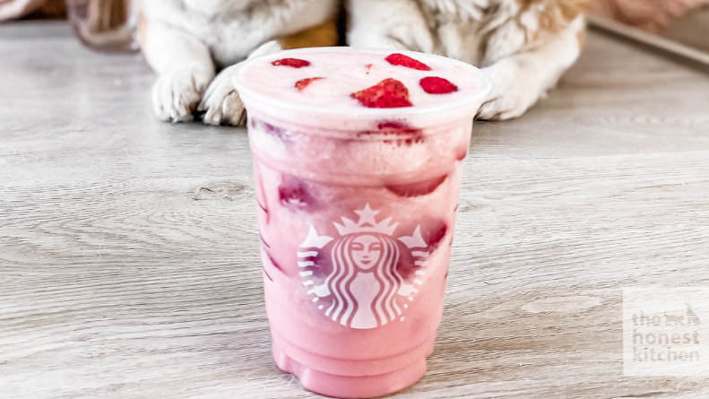 Image of Pink Drink Recipe for Dogs 