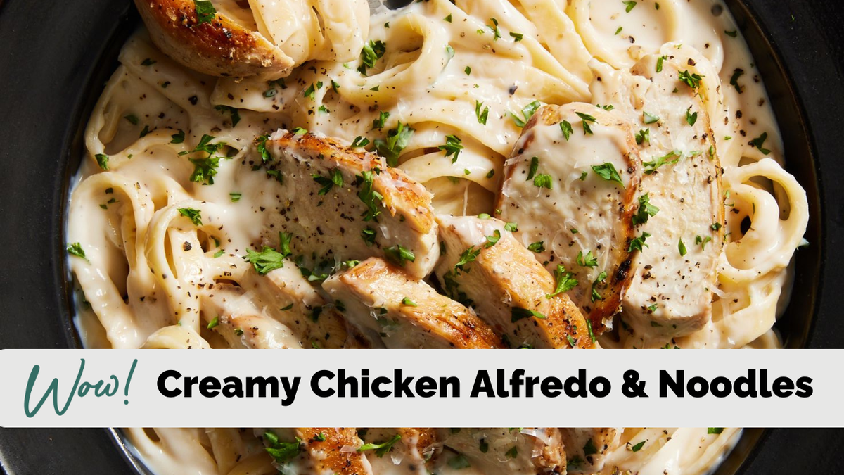 Creamy Chicken Alfredo and Noodles