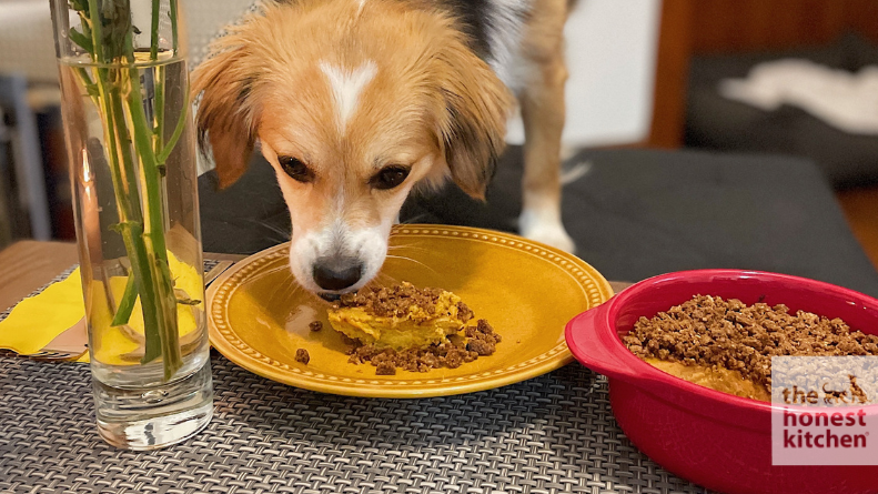 Image of Sweet Potato Casserole for Dogs