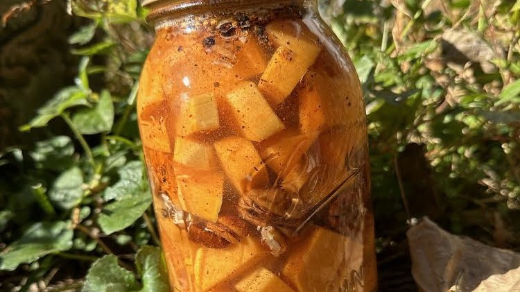 Image of Squash and Apple Fermented Chutney with Pickling Blend