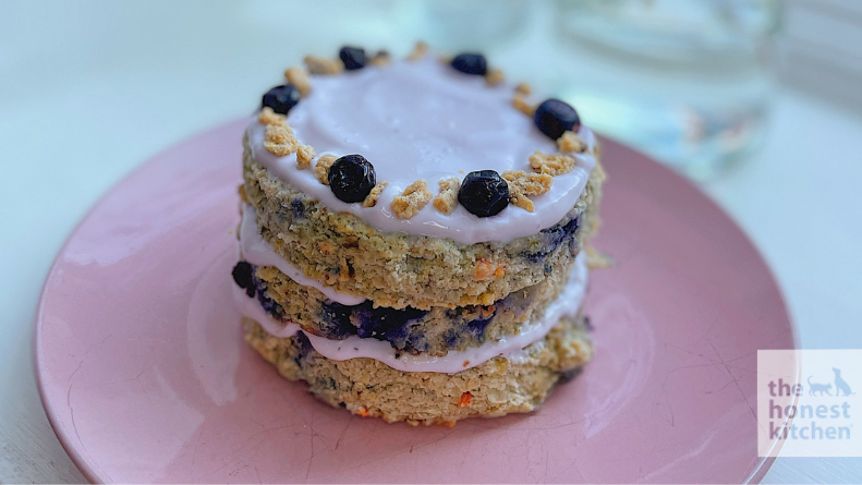 Blueberry 2025 dog cake