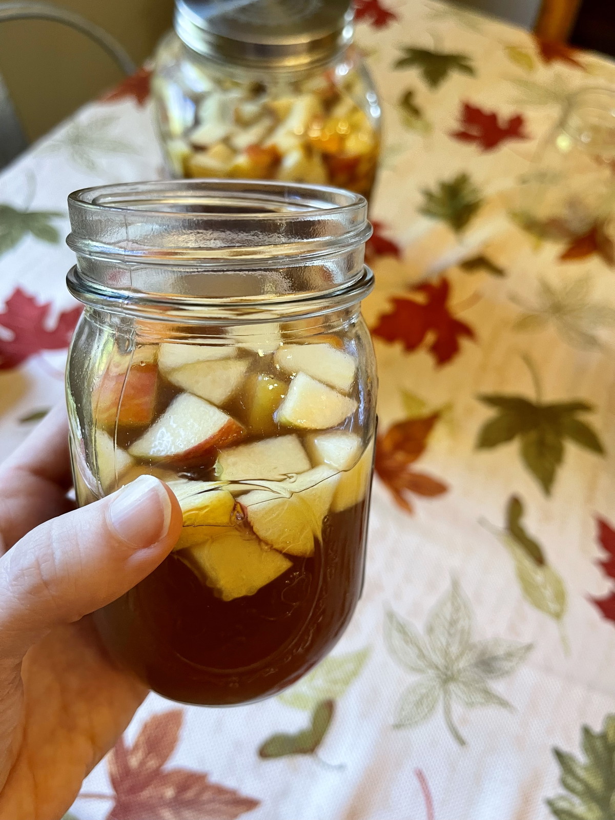 Fall Elderberry Cider Sangria