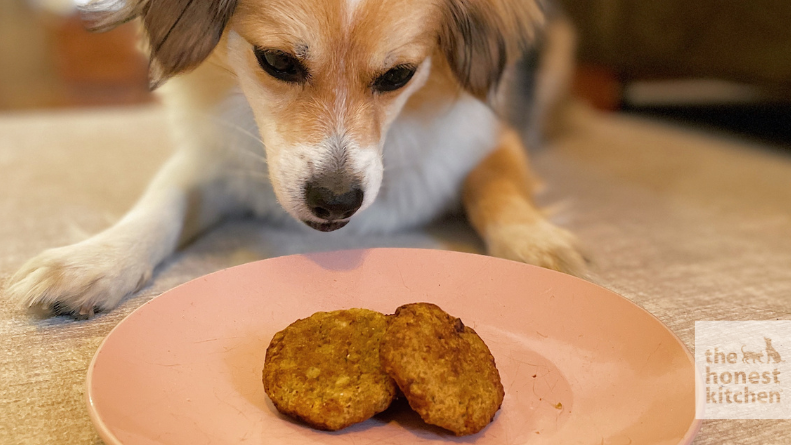 Image of Fish Cakes for Dogs