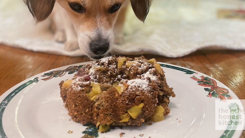 Image of Fruitcake Recipe for Dogs 