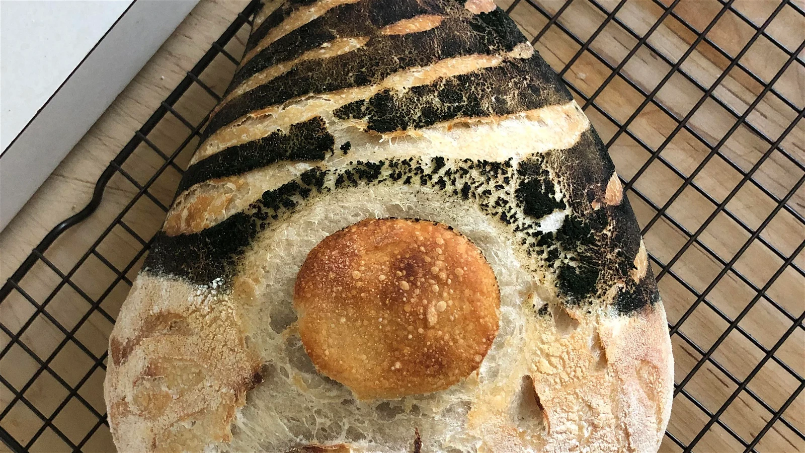 Image of Gnome Sourdough Bread