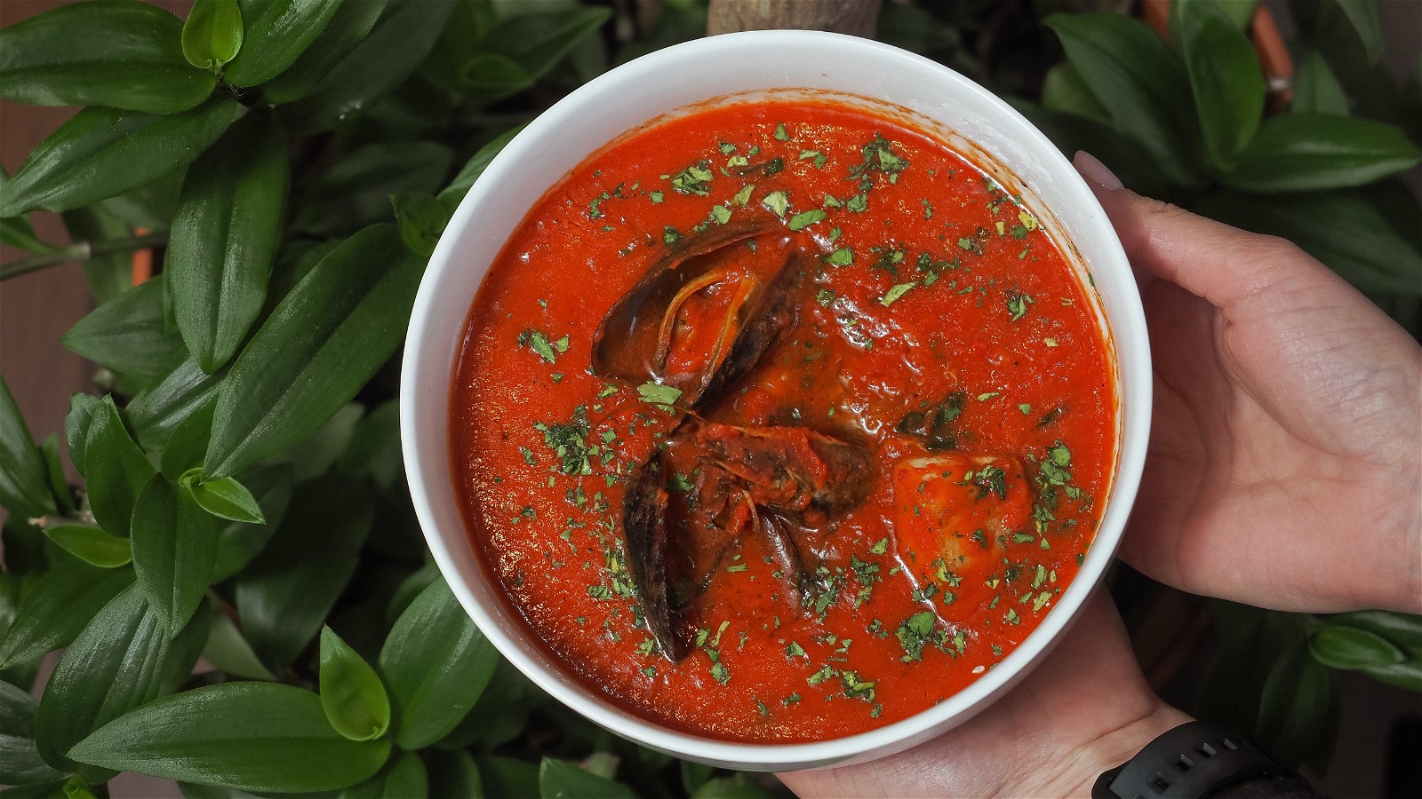 Image of Tomato Confit & Basil Soup 