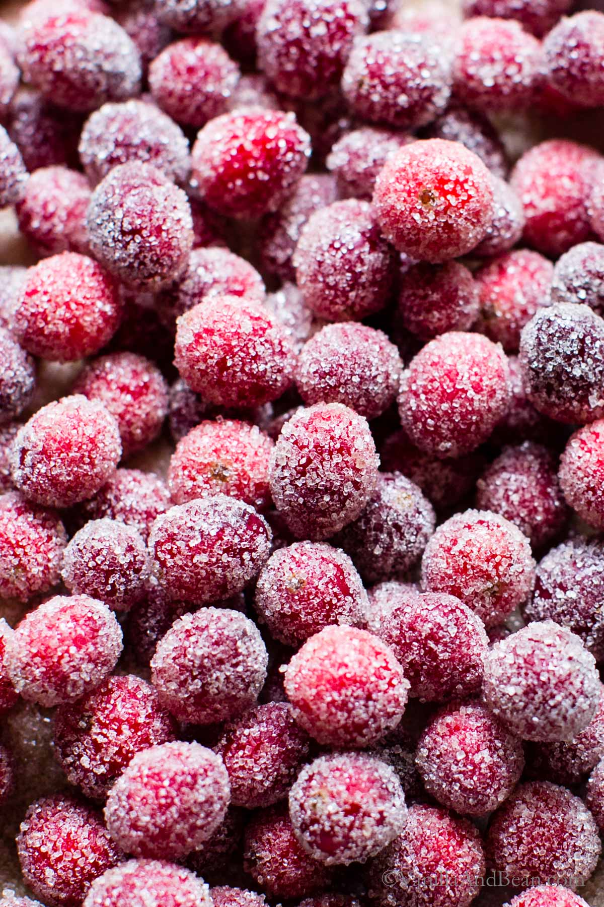 Sugared Cranberries