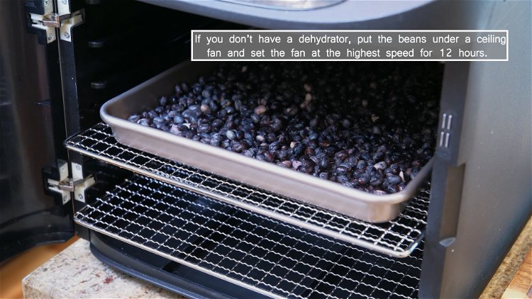 Image of Put the beans back into a tray and dehydrate them...