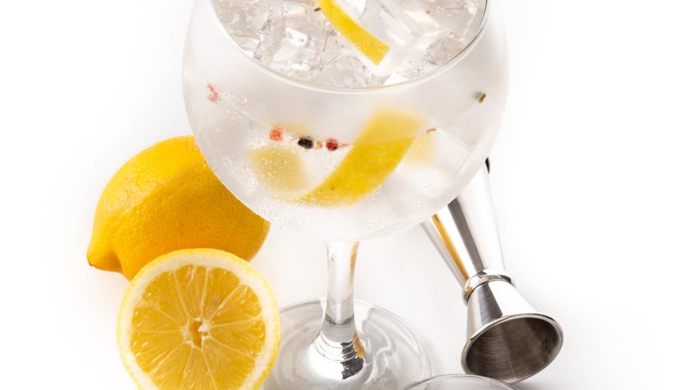 Image of Gin and tonic with spices