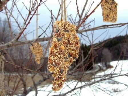 Image of Bird Seed Treats