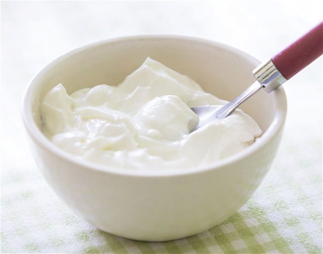 Image of Homemade Yogurt