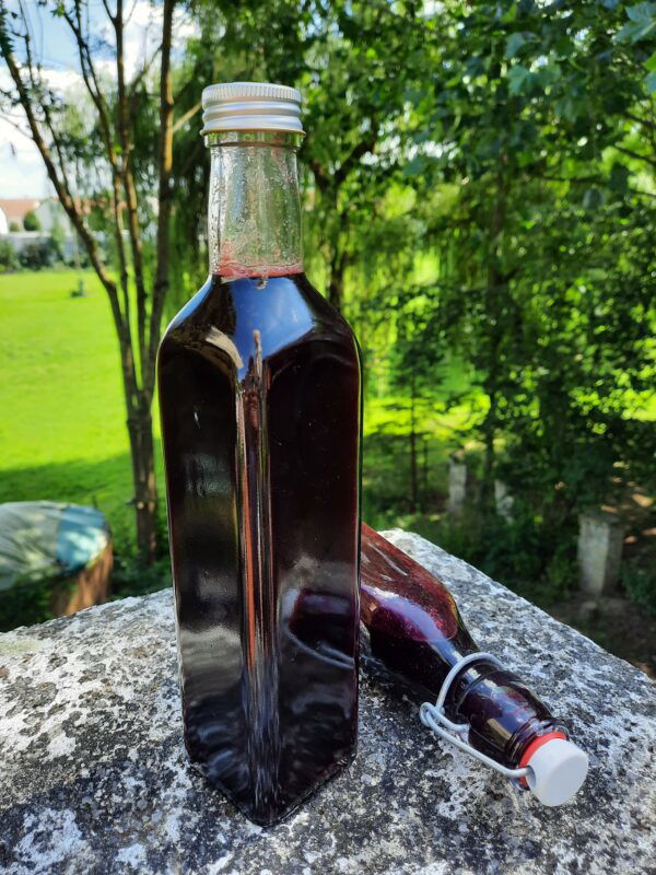 Schwarzer Johannisbeer-Balsamico – Einfach Lecker