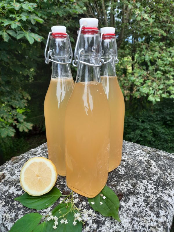 Holunderblütensirup