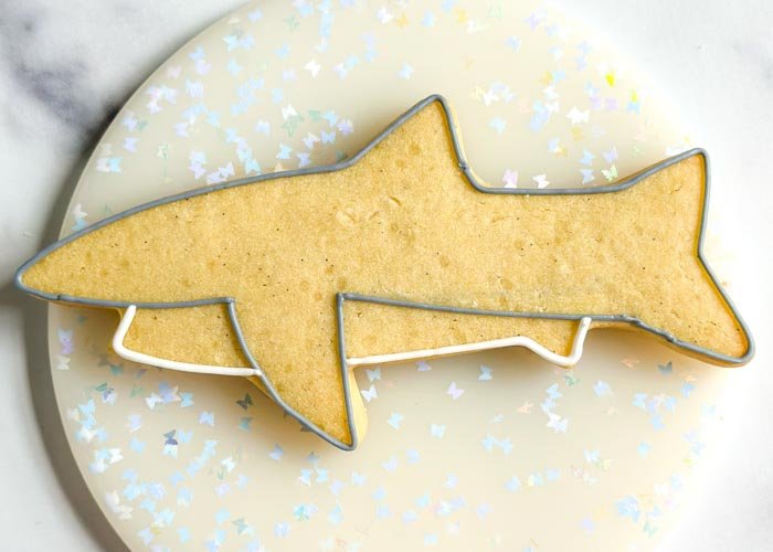 Image of Outline bottom portion of the shark with white piping consistency royal icing as shown.