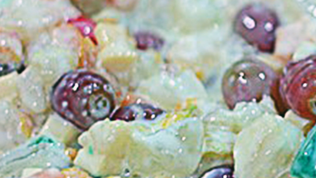 Image of Fruit Salad