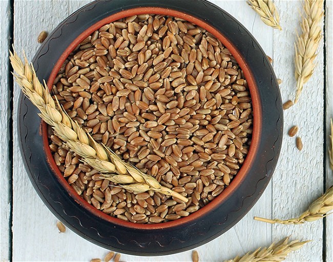 Image of Farro