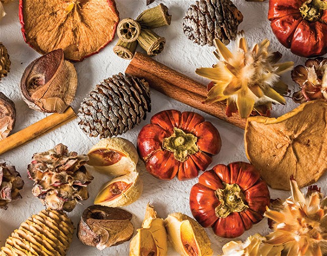 Image of Holiday Potpourri