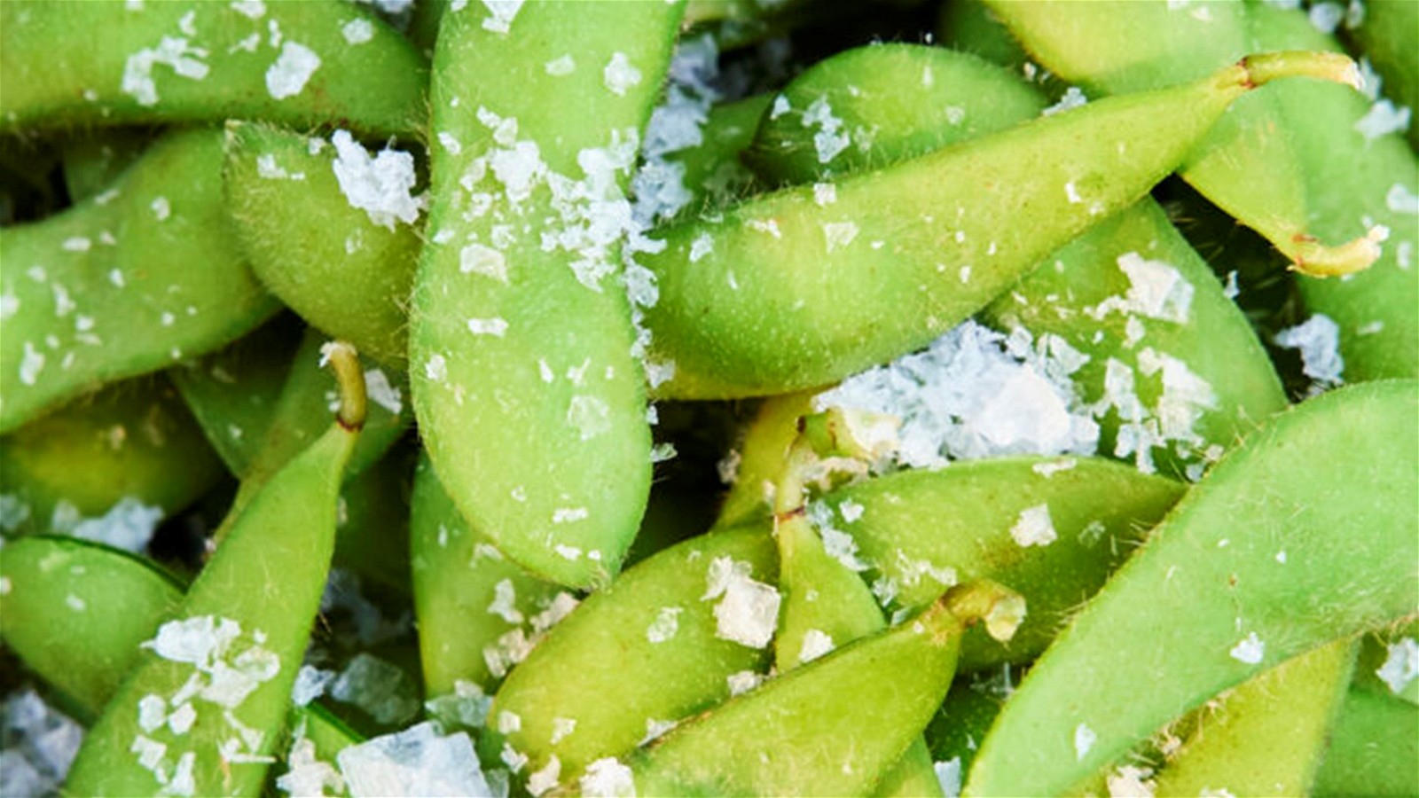 Image of SALTED EDAMAME BEANS