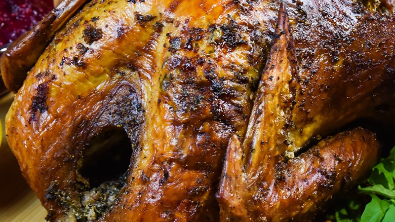 Thanksgiving Turkey by Turbo E