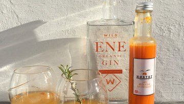 Image of Gin & Tonic med havtorn