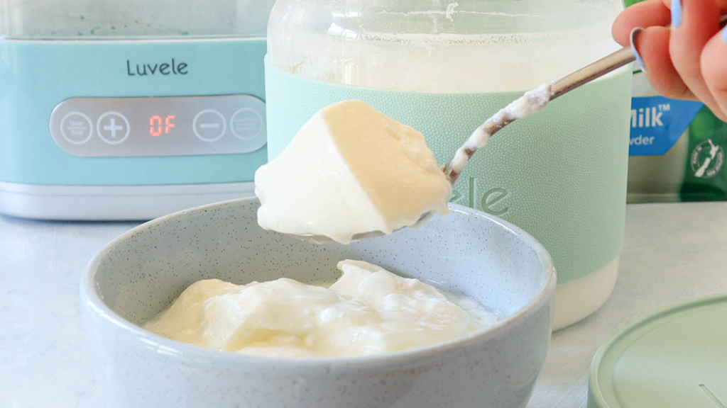 Image of Make probiotic yogurt anytime with dry milk powder