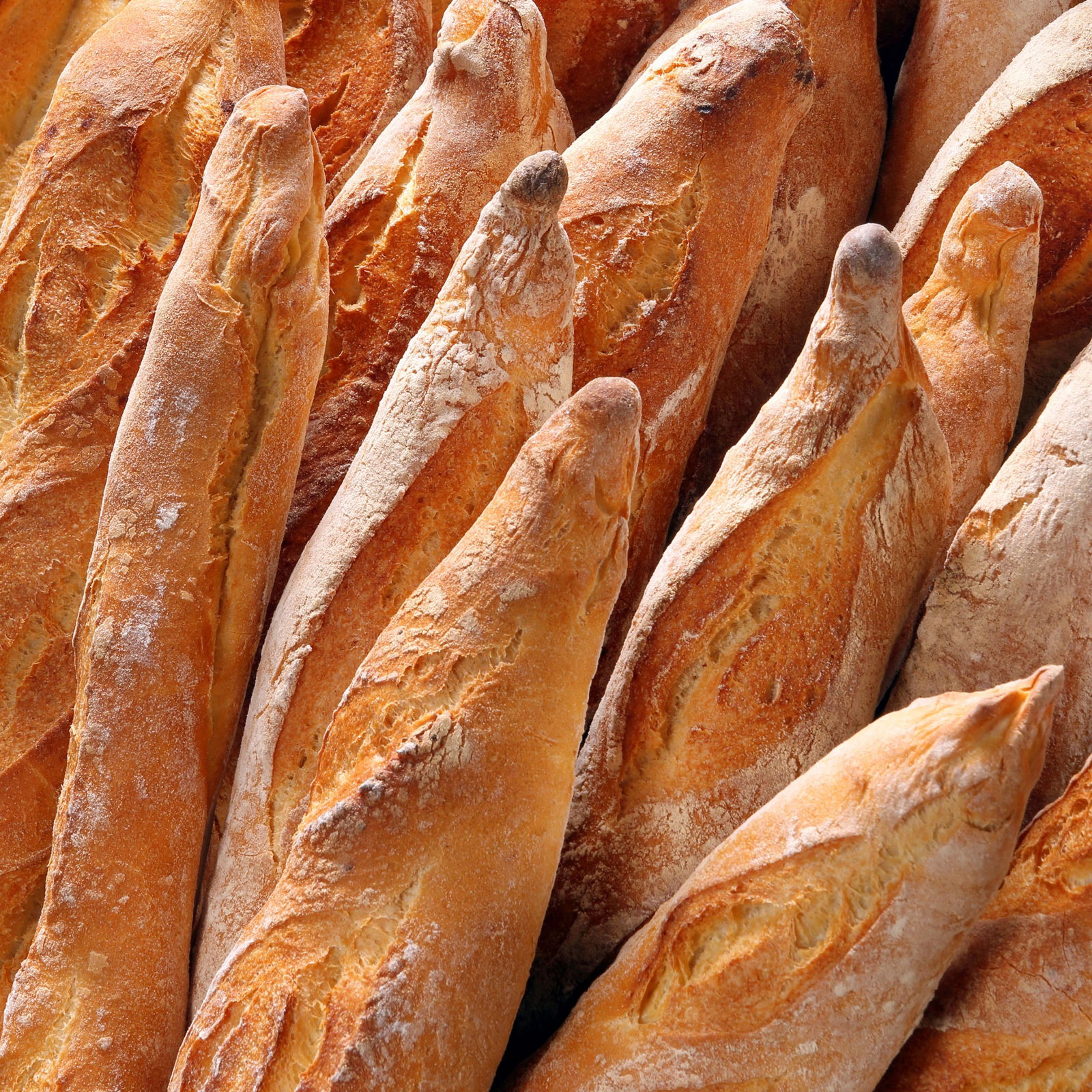 Classic French Baguette Recipe — Specialty Food Source