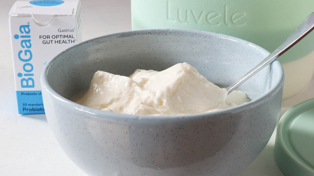 Image of How to make L.Reuteri yogurt