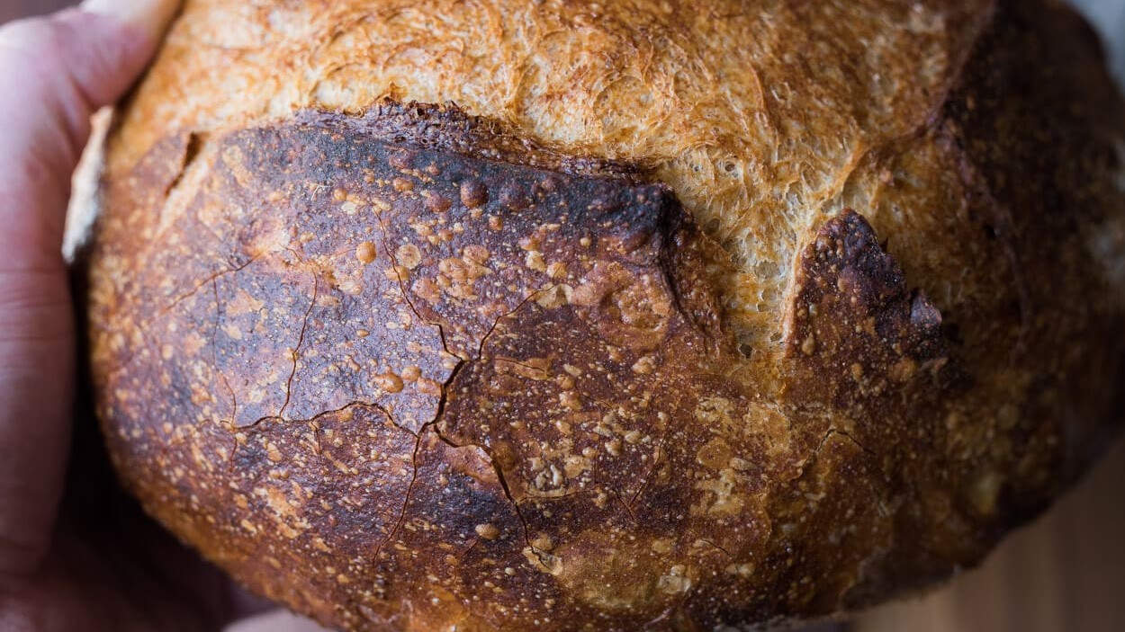 Image of Beginner's Sourdough Bread Recipe
