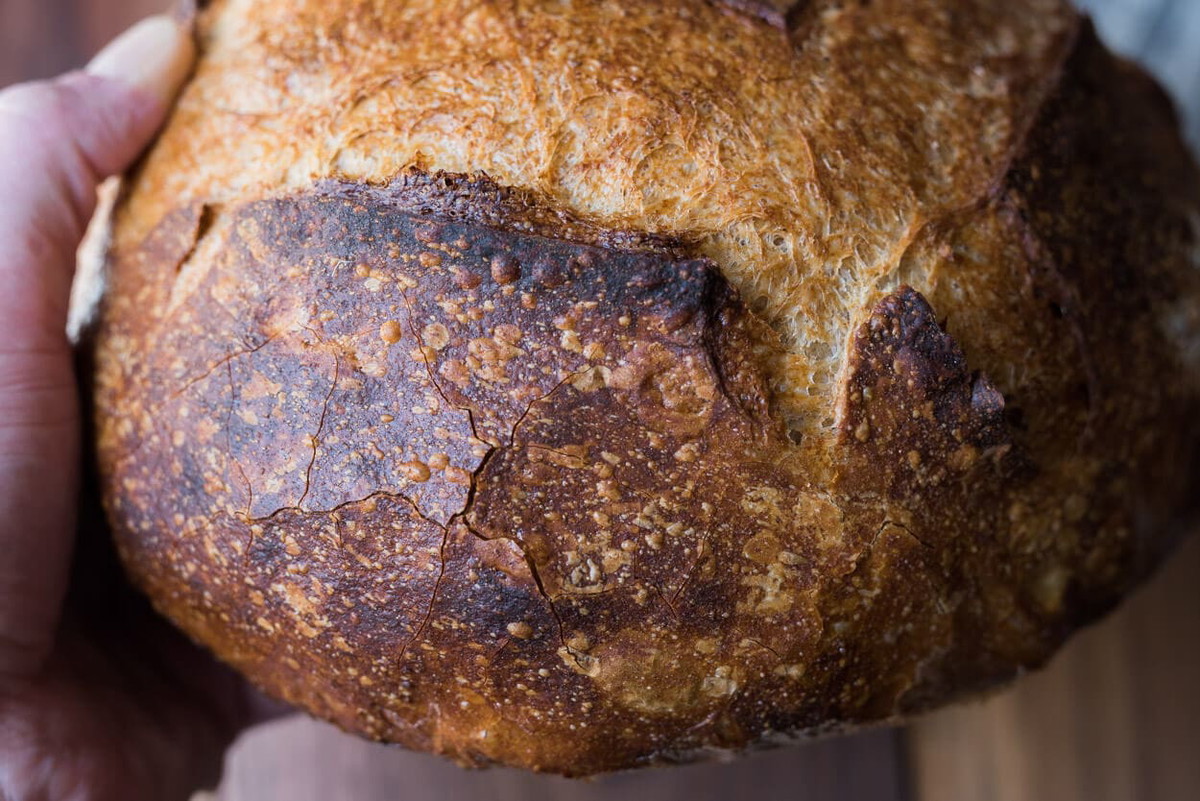 Beginner's Sourdough Bread Recipe