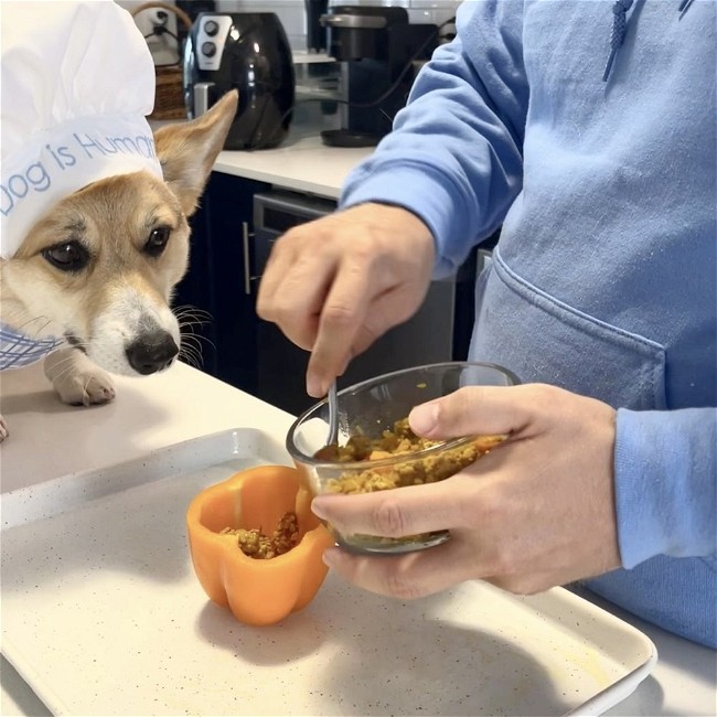 Image of 🫑 Stuffed Peppers