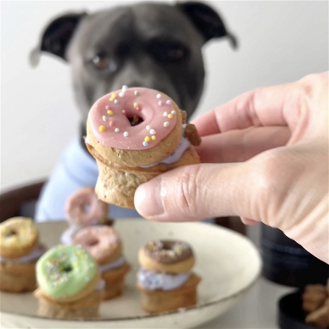 Image of 🧁 Donut Pupcake