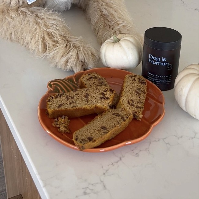 Image of 🍞 Pumpkin Bread