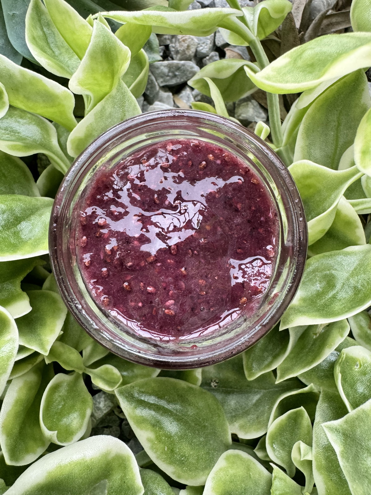 Berry Chia Jam