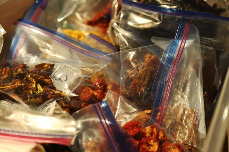 Image of Start this recipe off with the fun part. The Chili Magic. If you’re me, this means pulling out my huge box of dried chili peppers from the garden. If you’re not me, some of the chili peppers can be found...