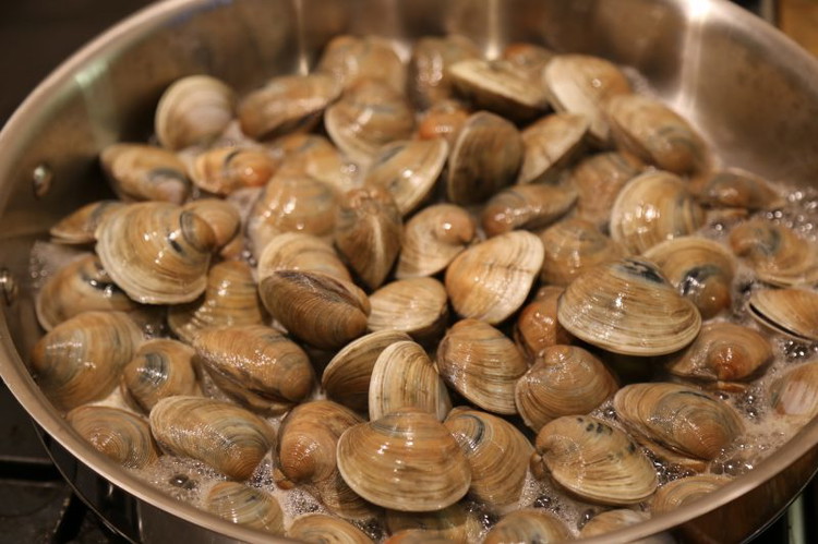 Image of Add the clams to the pot, cover and cook for 4-7 minutes until the clams are opened up. Discard any unopened clams.