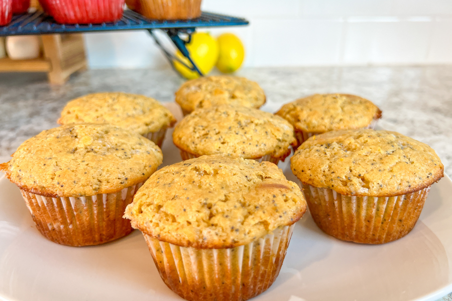Sourdough Lemon Poppy Seed Muffins 