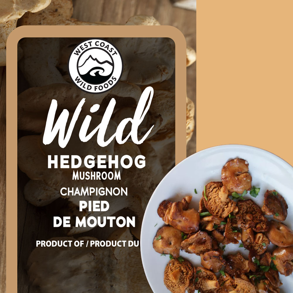  Wild Hedgehog Mushrooms and Nettle