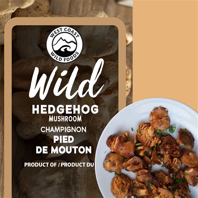 Image of Wild Hedgehog Mushrooms and Nettle