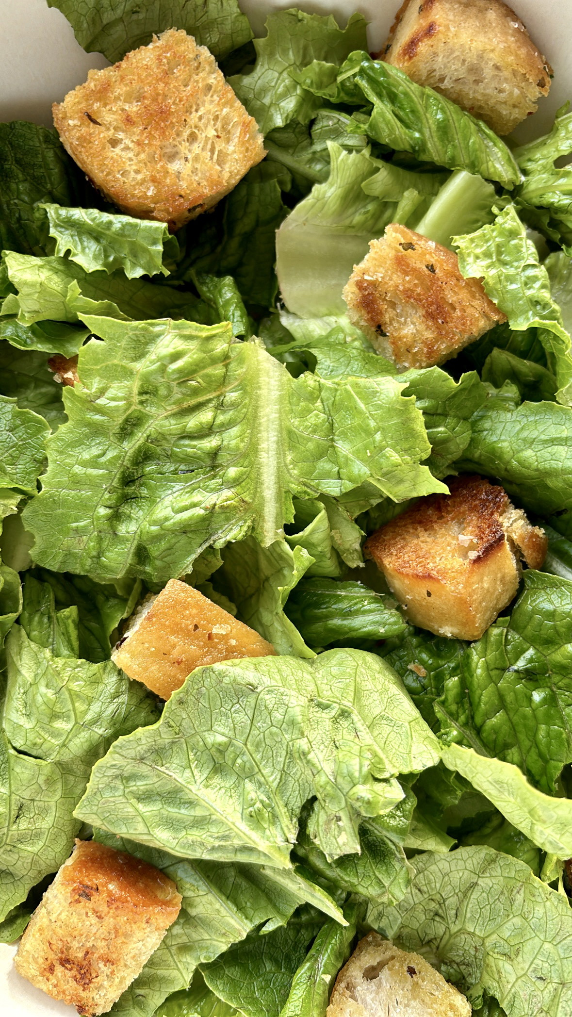 Homemade Croutons