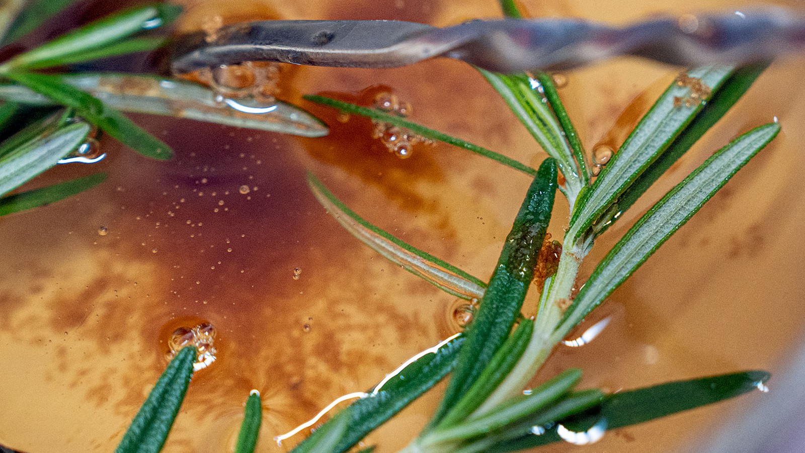 Image of Iced Brown Sugar Rosemary Latte with Cold Brew Concentrate