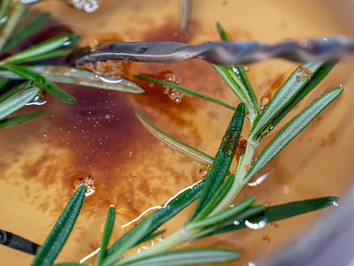 Iced Brown Sugar Rosemary Latte with Cold Brew Concentrate