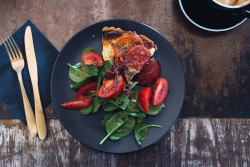 Tomato Basil Tart