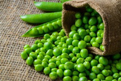 Baby Pea Salad