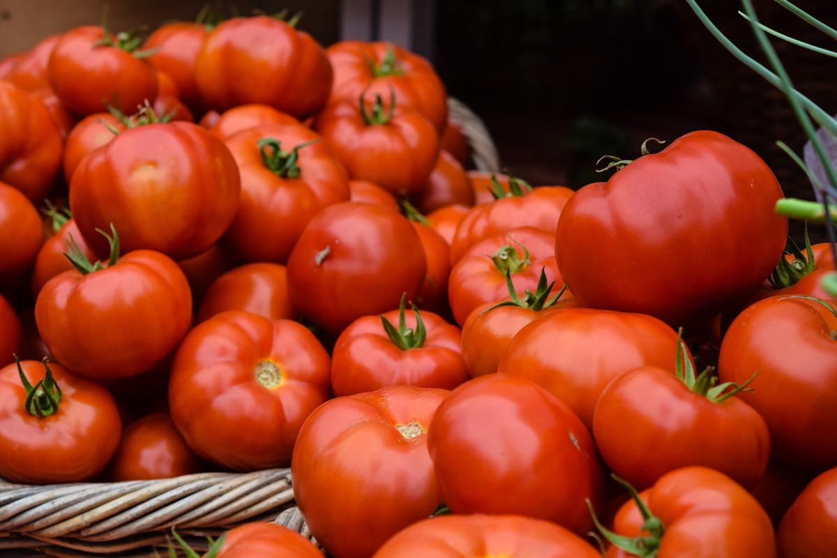 Tomato Sliders