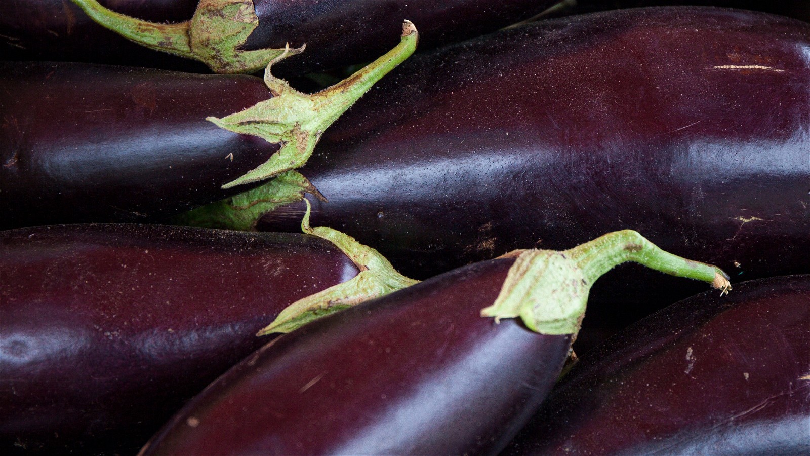 Image of Stuffed Eggplant Caponata