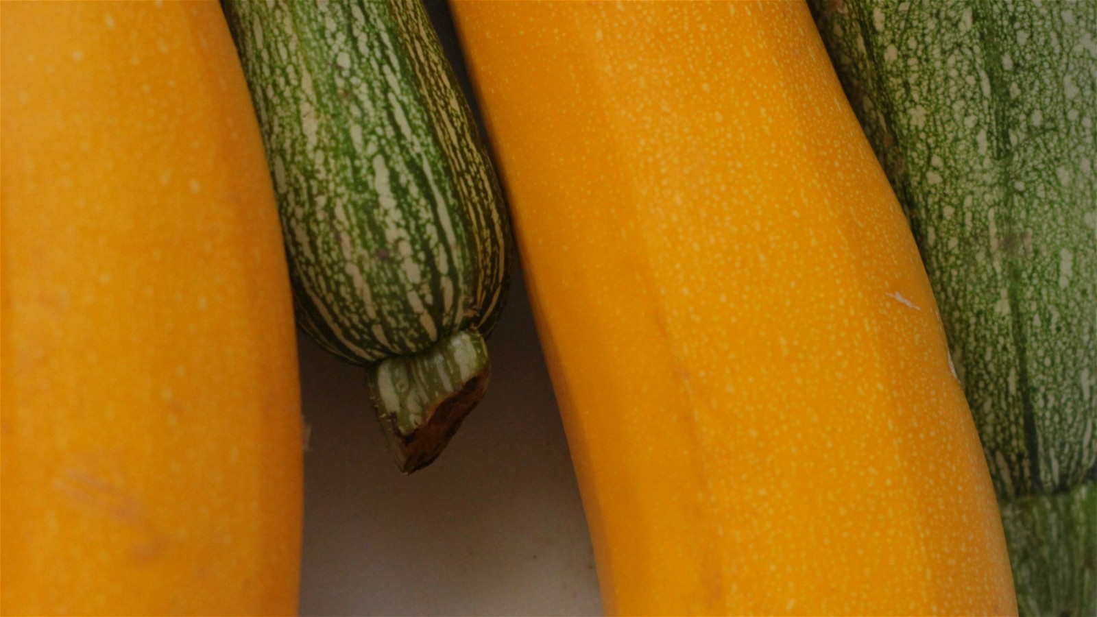 Image of Provencal Style Stuffed Zucchini