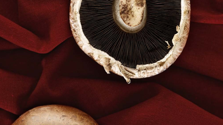 Image of Roasted Balsamic Mushrooms