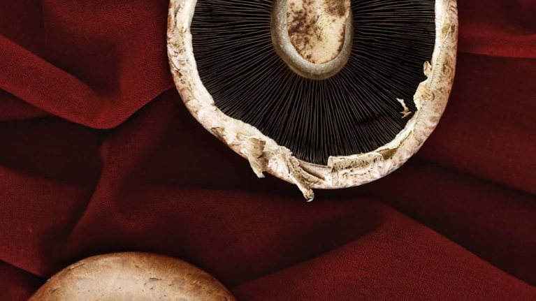 Roasted Balsamic Mushrooms