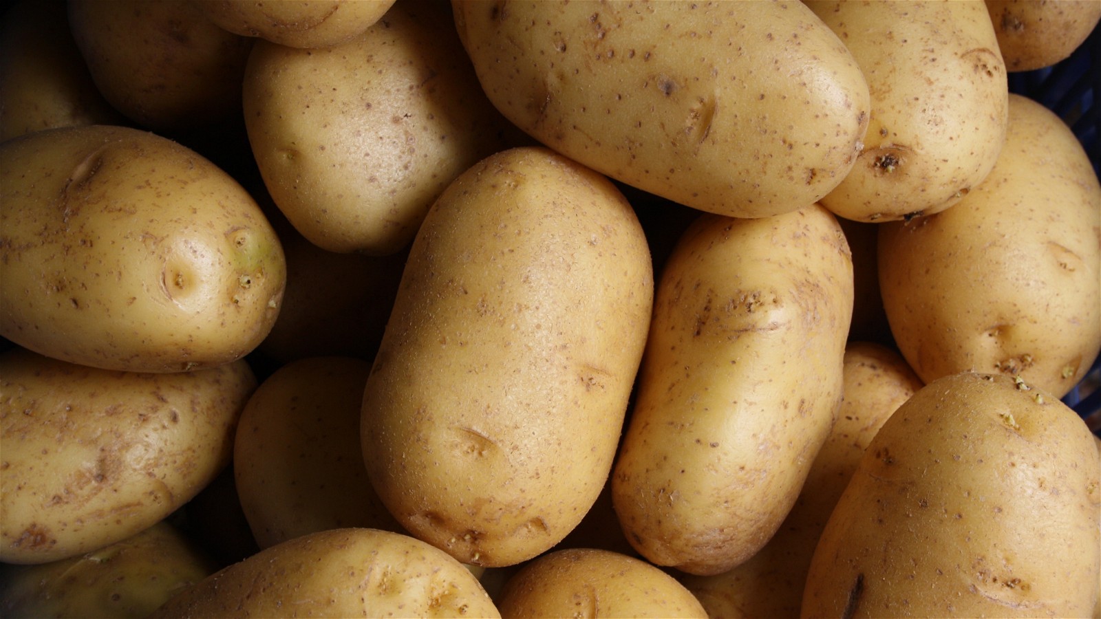 Truffle Potatoes